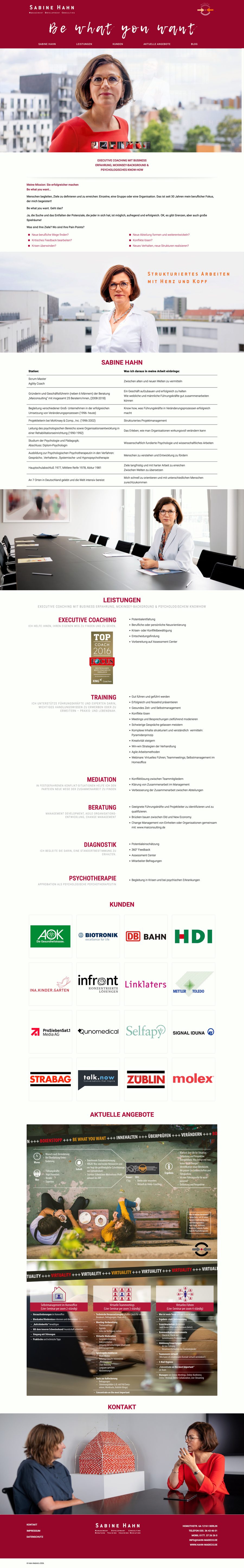 Hahn Madeco – Websites